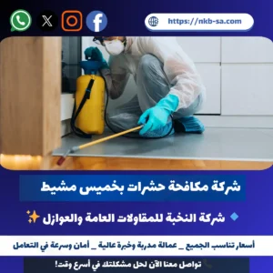 شركة مكافحة حشرات بخميس مشيط
